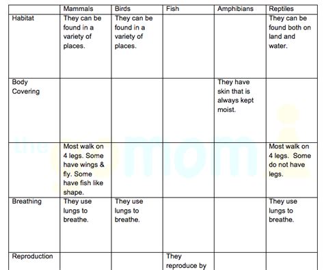 Most have separate male and female sexes. animal worksheet: NEW 546 ANIMAL CLASSIFICATION WORKSHEET ...