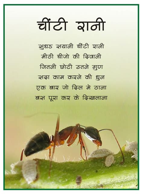 Short Hindi Poems On Nature For Class 9