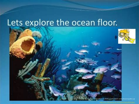 Ppt Lets Explore The Ocean Floor Powerpoint Presentation Free