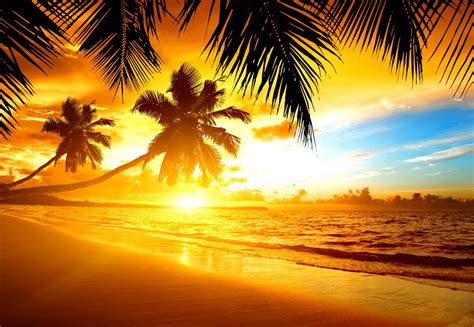 Free Download Tropical Beach Sunset Romantic Wallpaper Hd Desktop