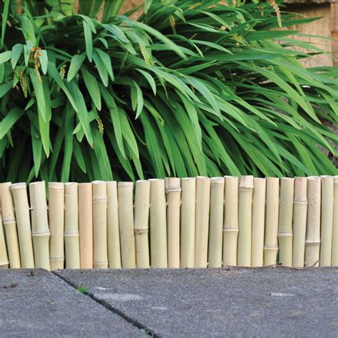 15cm Bamboo Garden Edging Plants Galore