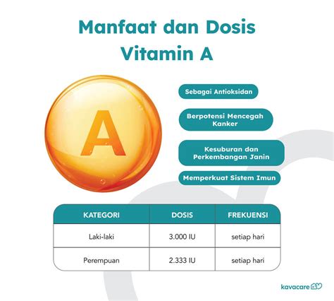 Vitamin A Manfaat Dosis Dan Sumber Terbaik