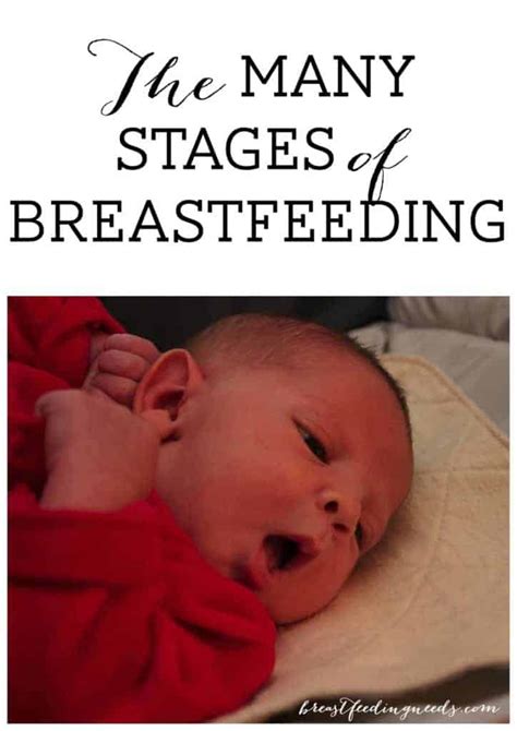 The Many Stages Of Breastfeeding Breastfeeding Needs