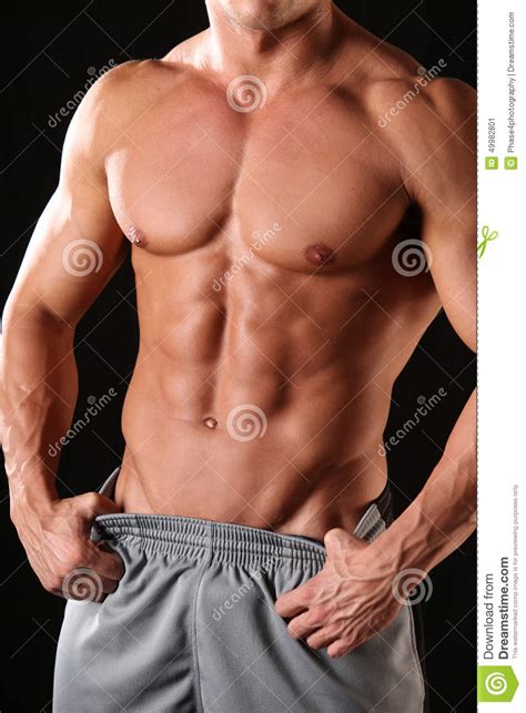 Muscular Male Torso Stock Image Image Of Athletic Masculine