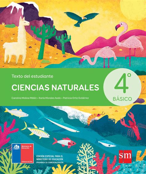 Libro De Ciencias Naturales 4 Grado 2020 Ciencias Naturales 4Âº