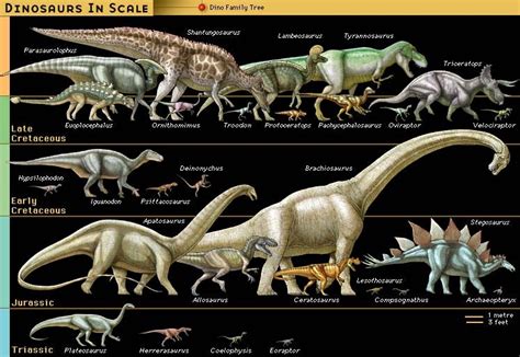 Dinosaur Facts For Kids Dinosaurs Pictures And Facts