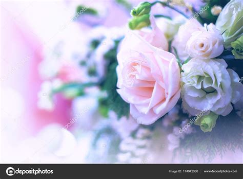 Fotos Mas Bonitas De Flores Flores Hermosas Rosas