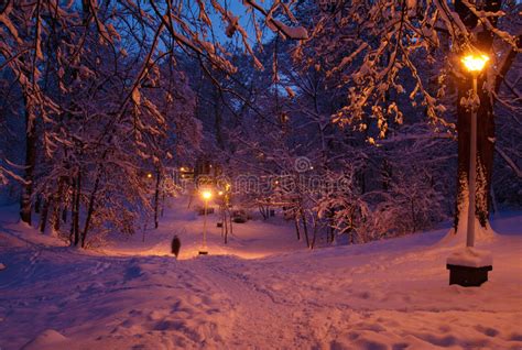 Winter Evening Scene Stock Photo Image 53583081