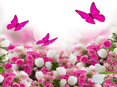 Flower Bouquet White And Pink Roses And Flying Butterflies Hd Wallpaper