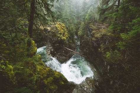 Nature Landscape Forest River Waterfall Mist Vancouver Island