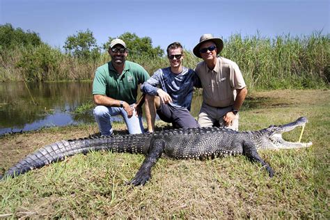Florida Alligator Hunting Ph