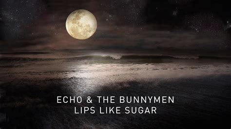 Echo And The Bunnymen Lips Like Sugar Transformed Official Audio
