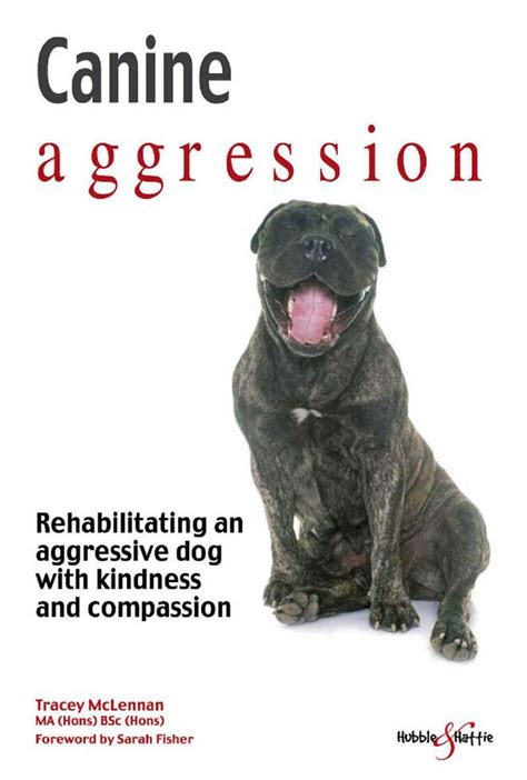57 Hq Photos Canine Aggression Signs Aggressive Dog Body Language