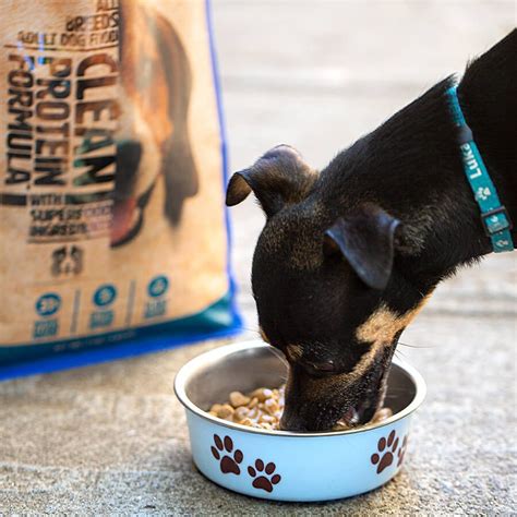Wild Earth Dog Food Review Must Read This Before Buying