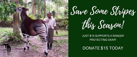 Donate Wildlife Conservation Global