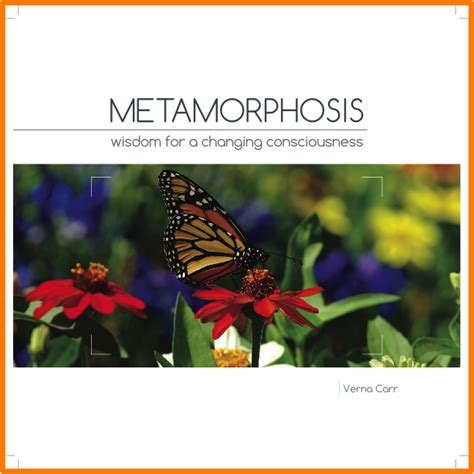 Metamorphosis Book Launch: - Event - All About Whitianga
