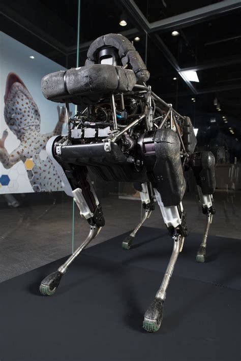Darpas Insane Robots Take Over Chicagos Museum Of Science And