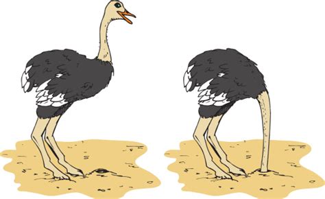 Cartoon Ostrich Putting Head In The Sand Stock