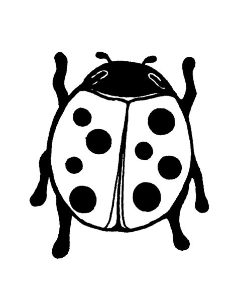 Ladybug Black And White Clipart Free Download On Clipartmag