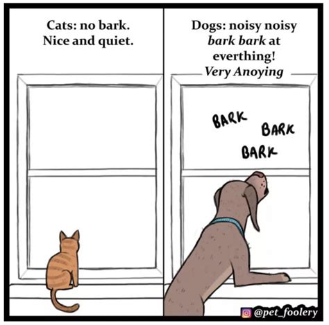 Funny Comics Explain Why Cats Are Better Than Dogs Cats