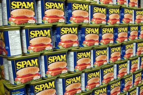 How To Protect Your Website From Spammers Spam Recipes Spam Can