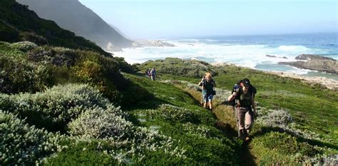 Four Great Hiking Trails To Explore In The Eastern Cape Drive South Africa