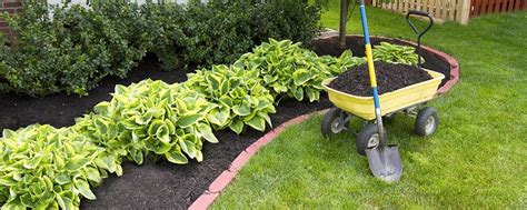 Preparing Your Garden Beds For Mulch