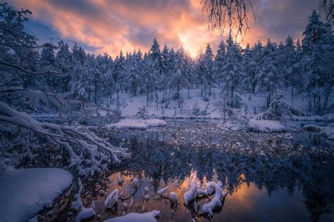 Winter Peace Ringerike Norway Paisagem De Inverno Papel De