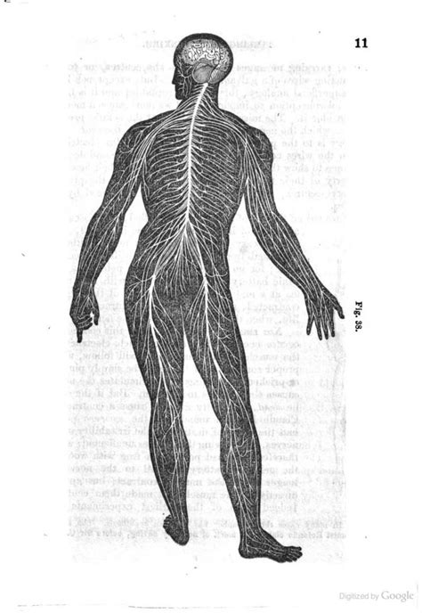 Horrible Health and Safety Histories: Disorders of Railway Travel