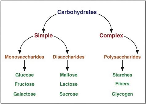 32 A Closer Look At Carbohydrates Medicine Libretexts