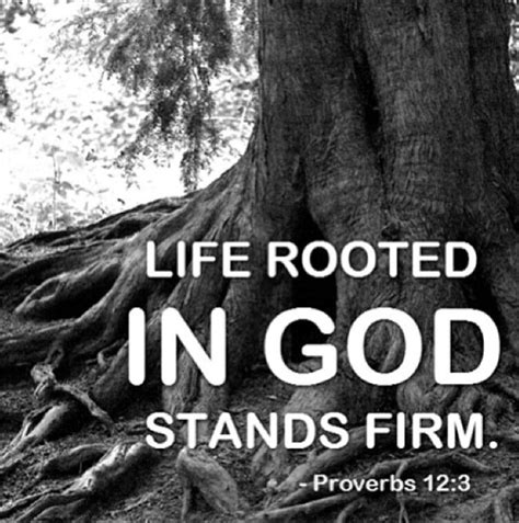 Life Rooted In God Stands Firm Bible Quotes Scripture Quotes