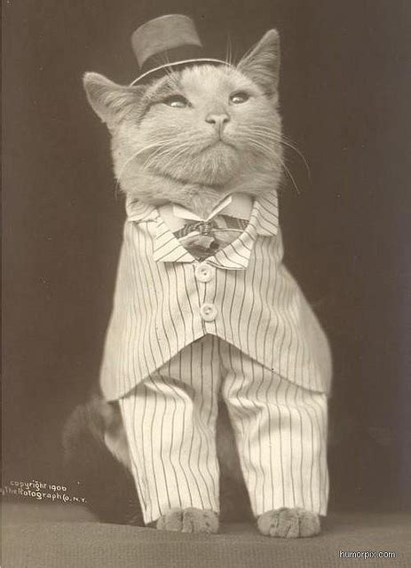 More Of Funny Vintage Photos ~ Vintage Everyday