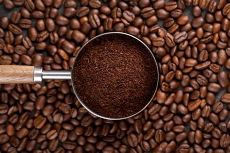 Their coffee is rich and extremely strong in taste. 10 Best Coffee in India (Branded & Flavourful Powder)