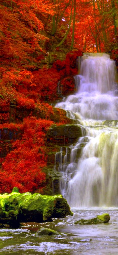 Free Download Autumn Forest Waterfalls 156347 High Quality And