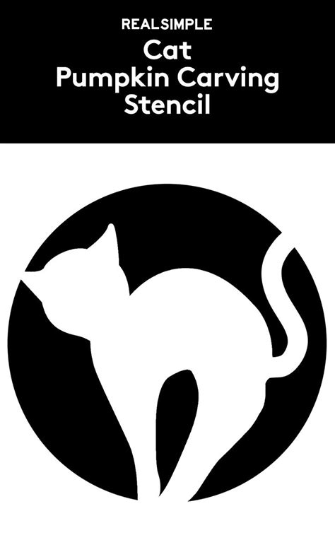 The 25 Best Cat Pumpkin Stencil Ideas On Pinterest