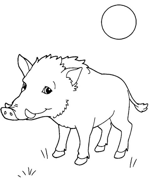 Wild Boar Coloring Page Sheet