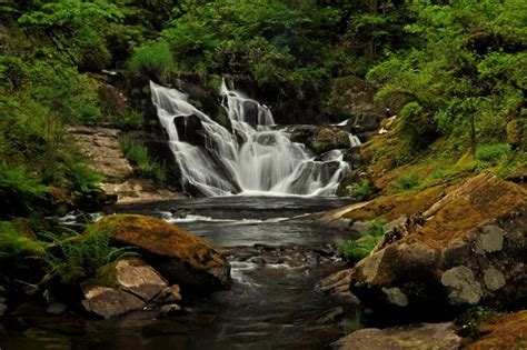 Beaver Creek Falls By Randy Baumhover Siuslaw National Forest Oregon