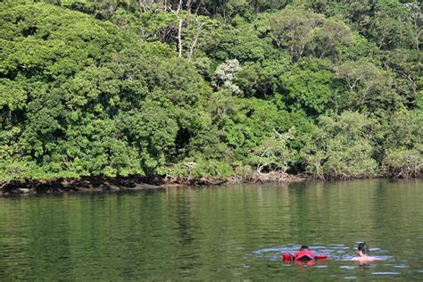 Fotos Ilha De Superagui O Lado Escondido Do Litoral Norte Do Paran