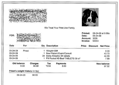 Veterinary Invoice Template