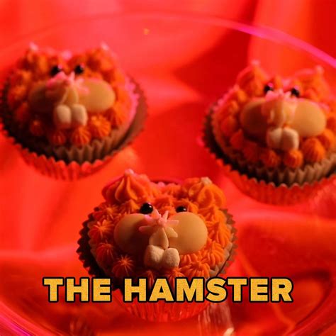 Hamster Cupcakes Recipe By Maklano