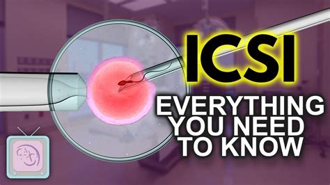 Ivf Icsi Procedure Important Things You Need To Know Youtube