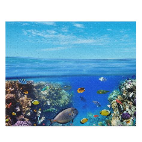 Marine Life Jigsaw Puzzle