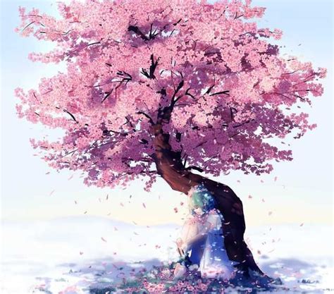 Share1 Anime Cherry Blossom Sakura Tree Tree Drawing