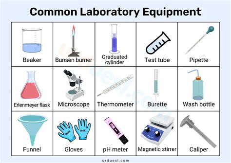 Laboratory Equipment List With Pictures Uses And Pdf