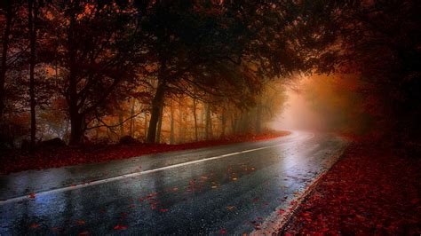 Wet Road In The Forest Inspirational Autumn Wallpaper Backiee