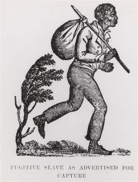 Fugitive Slave As Advertised For Capture The New York Public Library
