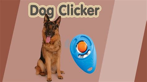 Dog Clicker App Youtube