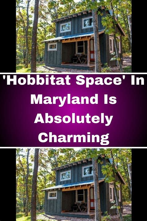 Tucked Away In The Forest Is This Hobbitat Space And Its Overflowing