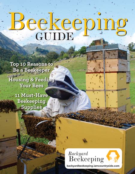 Raise Bees In Your Backyard Backyard Beekeeping