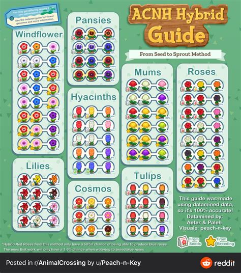 Want to keep track of any changes made to new leaf floral? Pin on Animal crossing